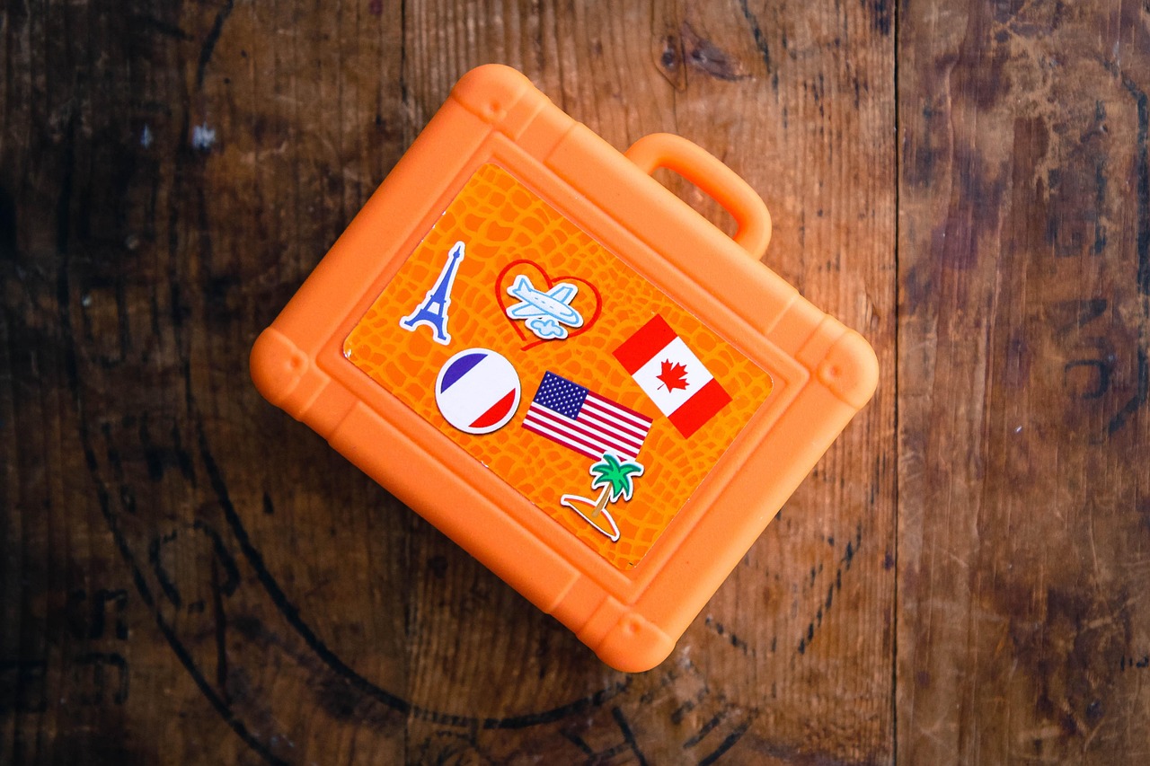 activity 18 plus reguli