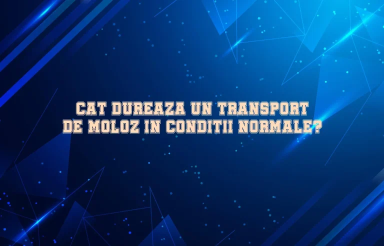 Cat dureaza un transport de moloz in conditii normale?